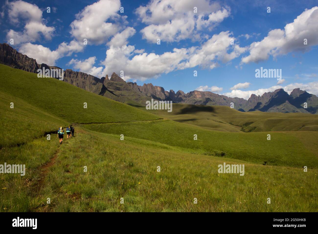 Une prairie alpine, entourée par les hautes falaises de basalte et les sommets des montagnes du Drakensberg en Afrique du Sud, le jour de l'été Banque D'Images