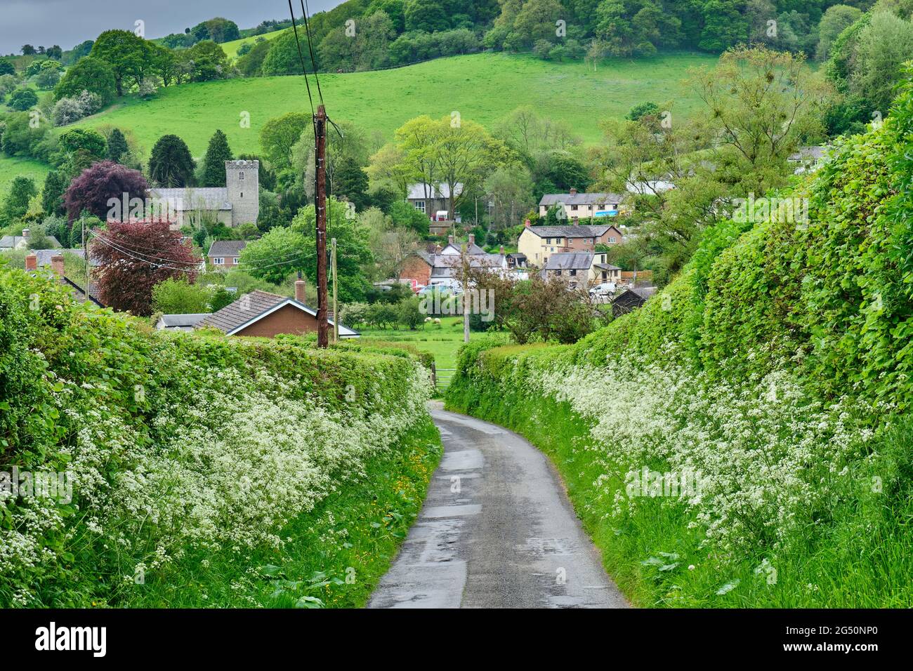 Approche de Llangynllo, Powys, pays de Galles. Banque D'Images