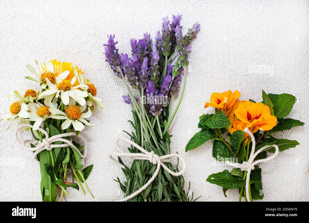 trois petits pains simples de fleurs de jardin Banque D'Images