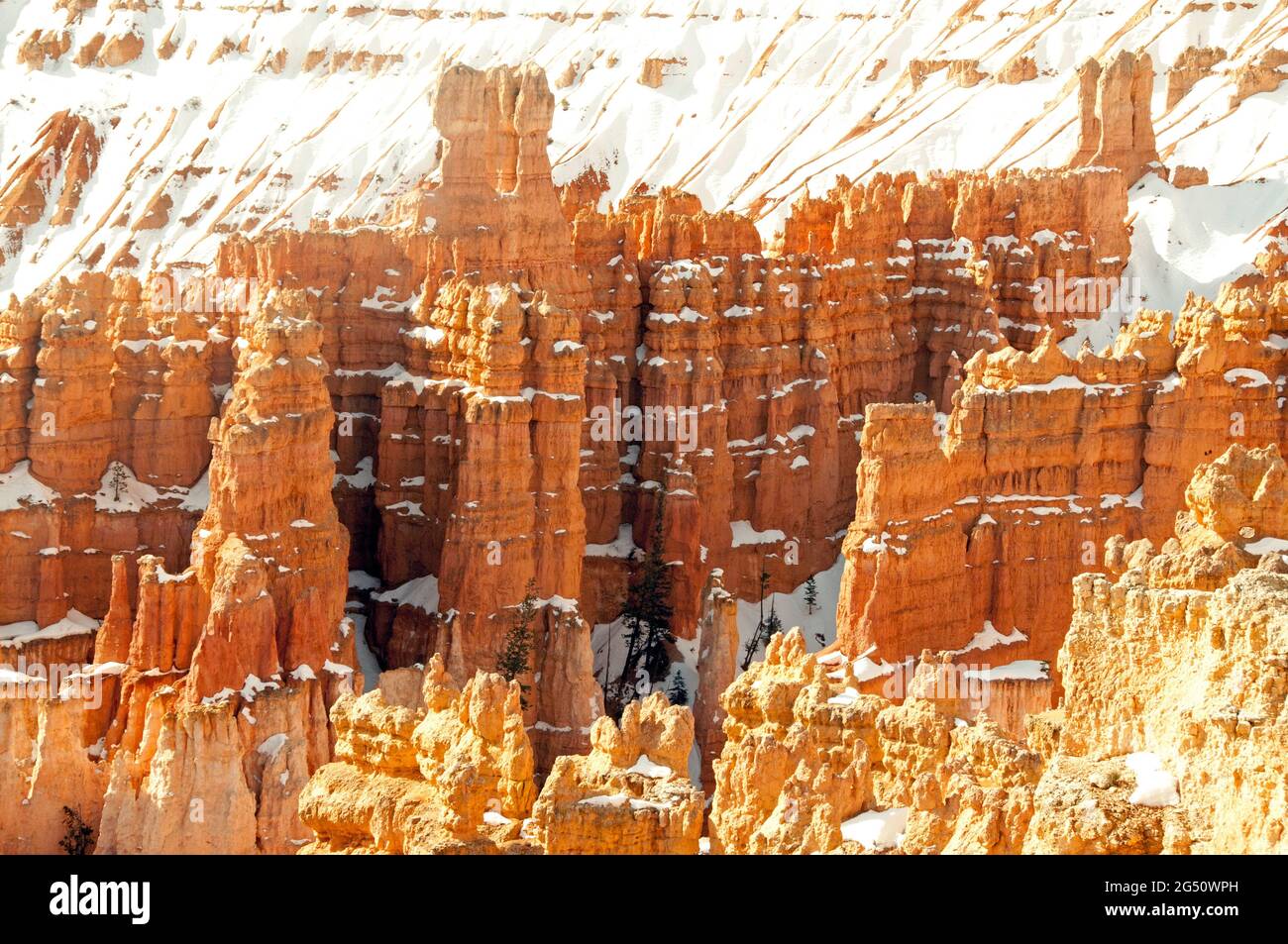 Scène d'hiver, parc national de Bryce Canyon Hoodoos et couverture de neige Banque D'Images
