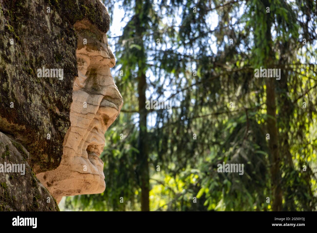 BOHÊME DU NORD, TCHÉQUIE, JUIN 06 2021, tête doyeuse sculptée dans la roche dans une forêt. Banque D'Images