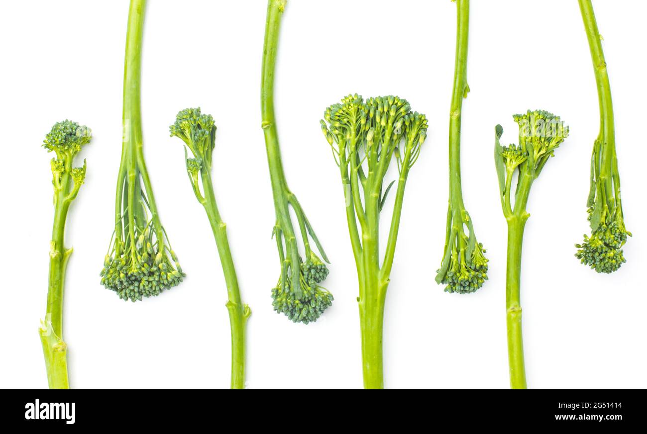 Broccolini cru à la rangée sur fond blanc Banque D'Images