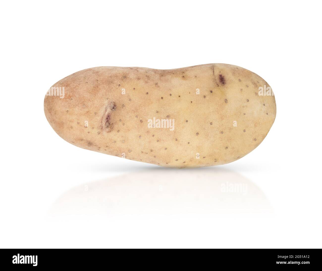 Jeune potatoe isolé sur fond blanc avec ombre et réflexion. Banque D'Images