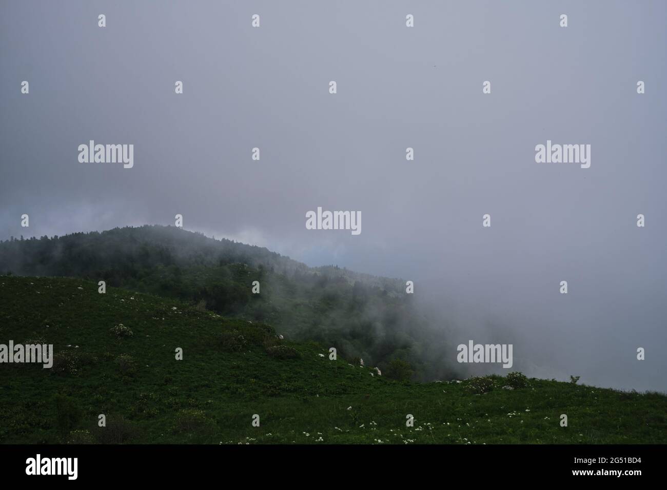 Le nuage enveloppe la forêt dense de conifères feuillus. Magnifique paysage mystique atmosphérique dans le parc national de Russie. Forêt et montagnes dans le brouillard Banque D'Images