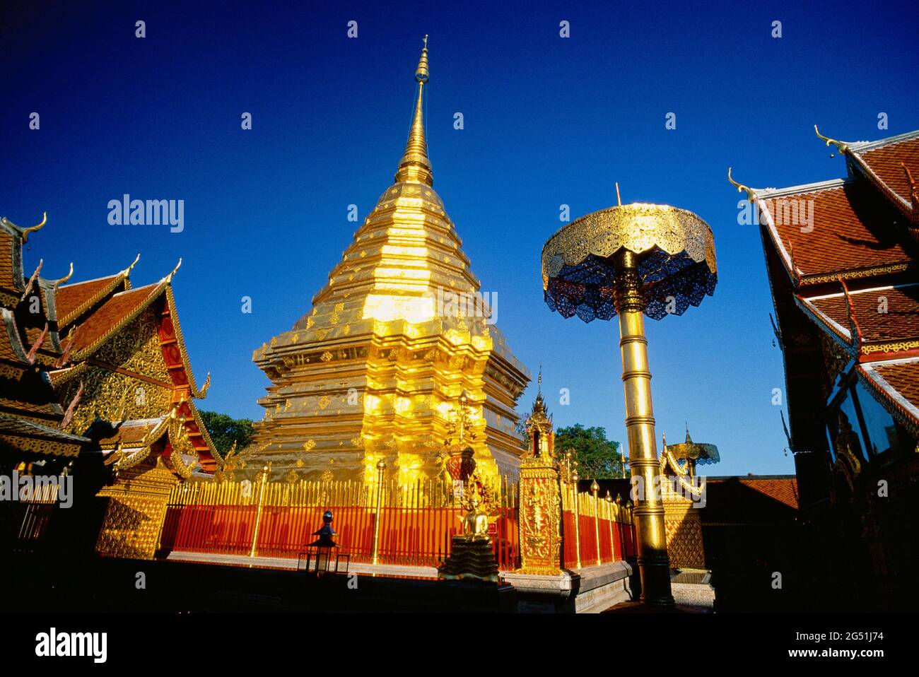 Stupa d'or au temple Wat Phra That Doi Suthep, Chiang Mai, Thaïlande Banque D'Images