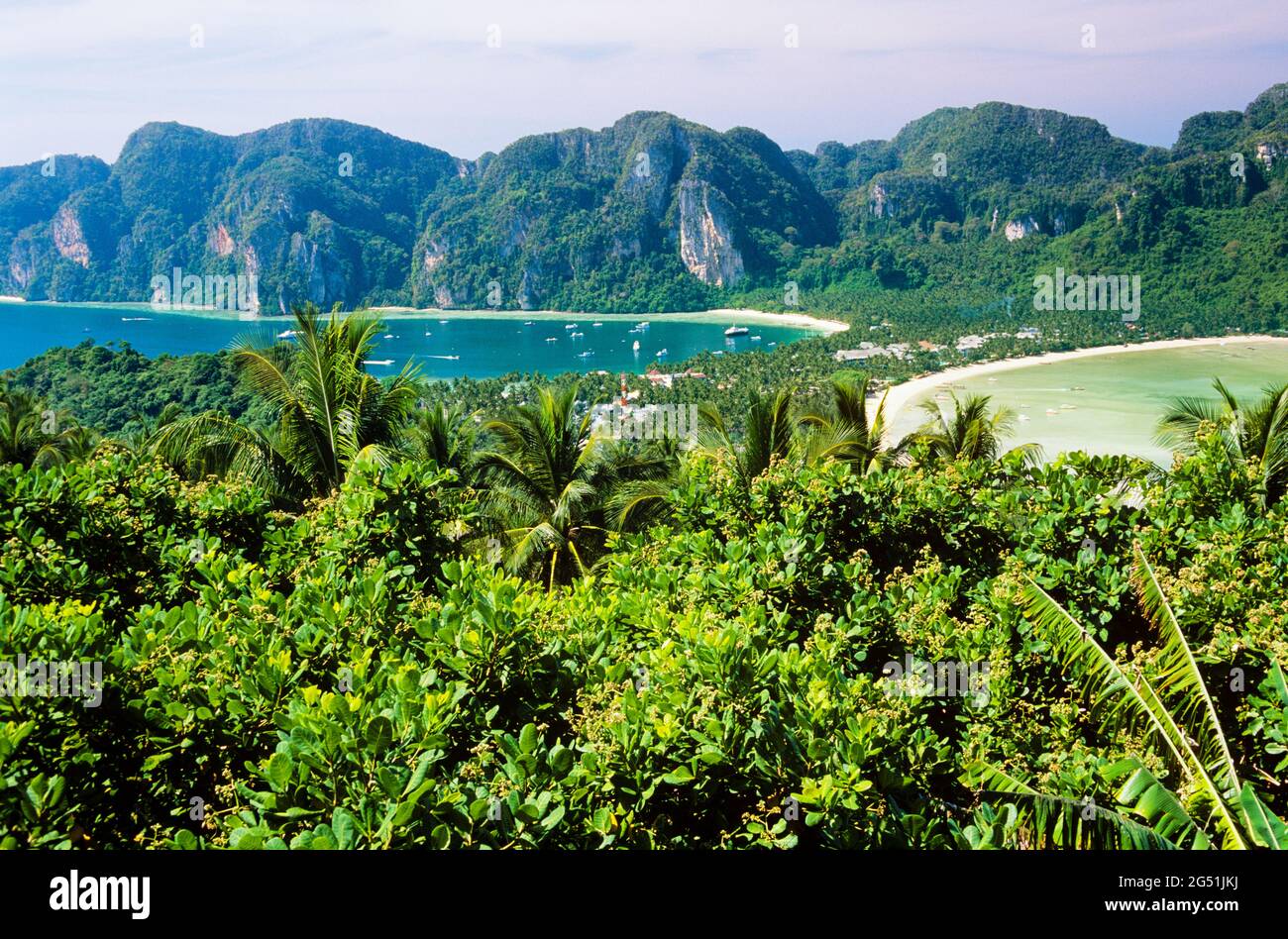 Paysage avec palmiers et falaises sur la mer, île de Ko Phi Phi, Thaïlande Banque D'Images
