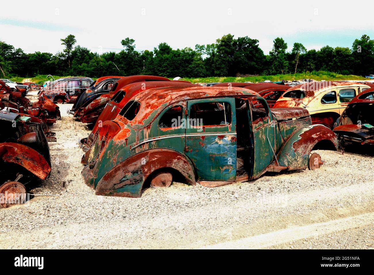 Vieilles voitures rouillées dans junkyard, Minnesota, États-Unis Banque D'Images