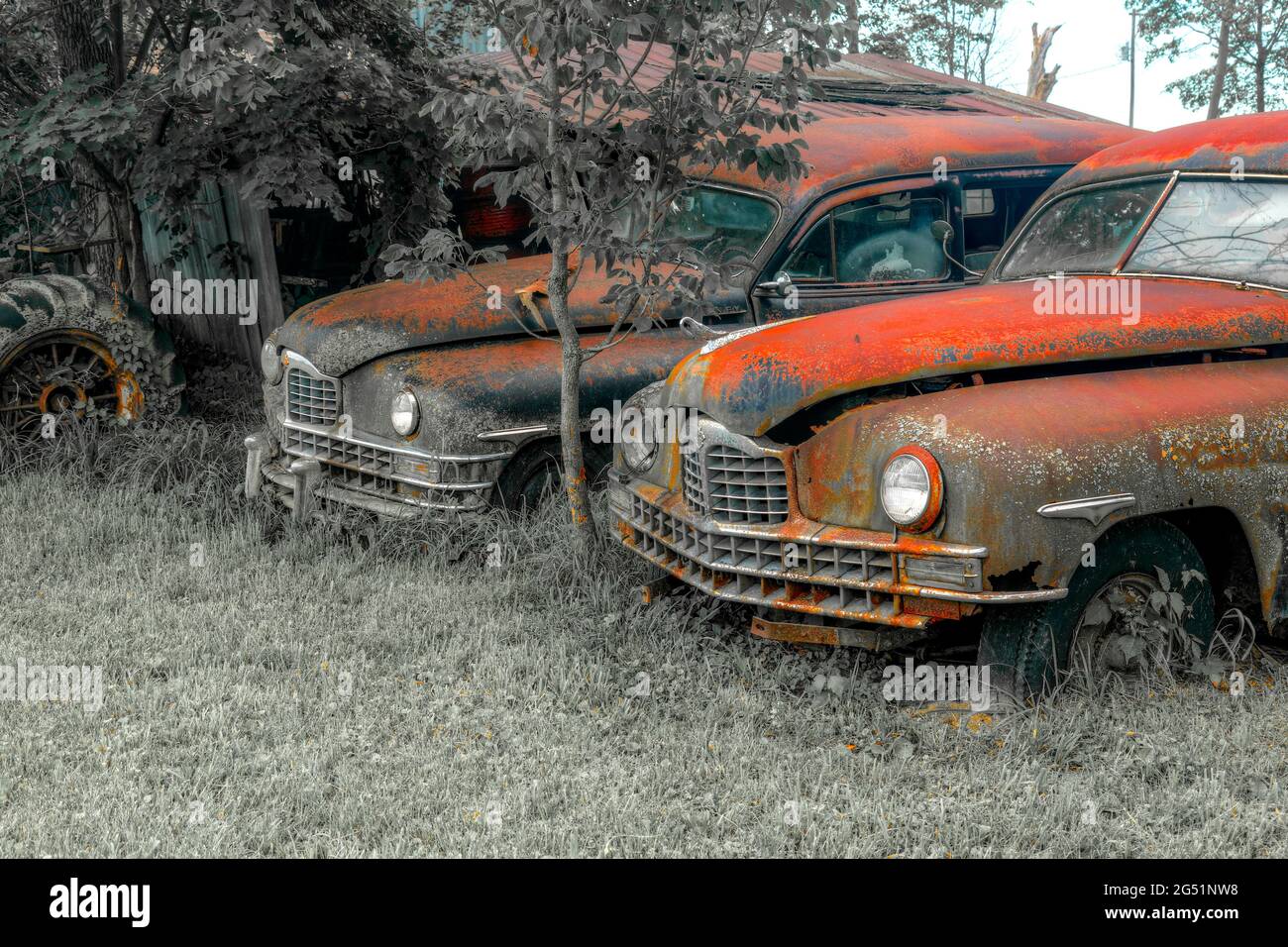 Deux vieilles voitures rouillées abandonnées Banque D'Images