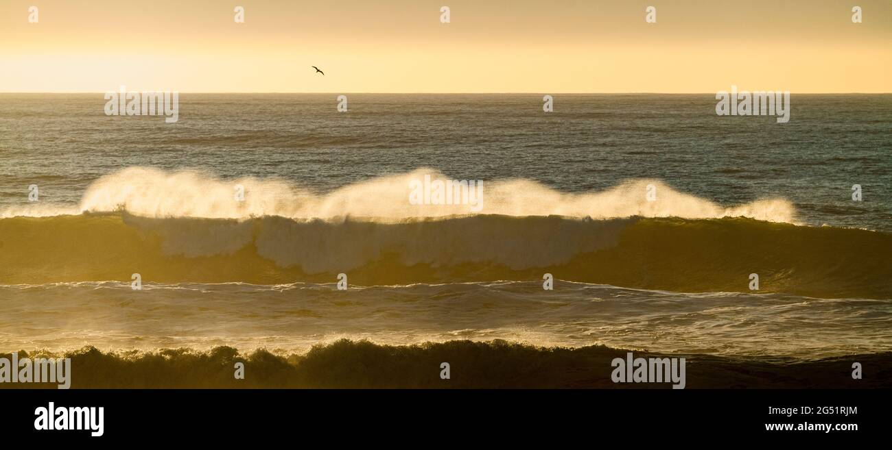 Une vague qui s'est écrasant dans l'océan Pacifique au coucher du soleil Banque D'Images