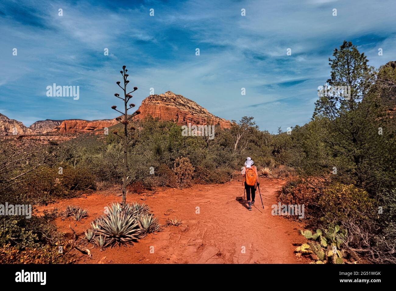 Randonnée dans le désert, Sedona, Arizona, U.S.A Banque D'Images