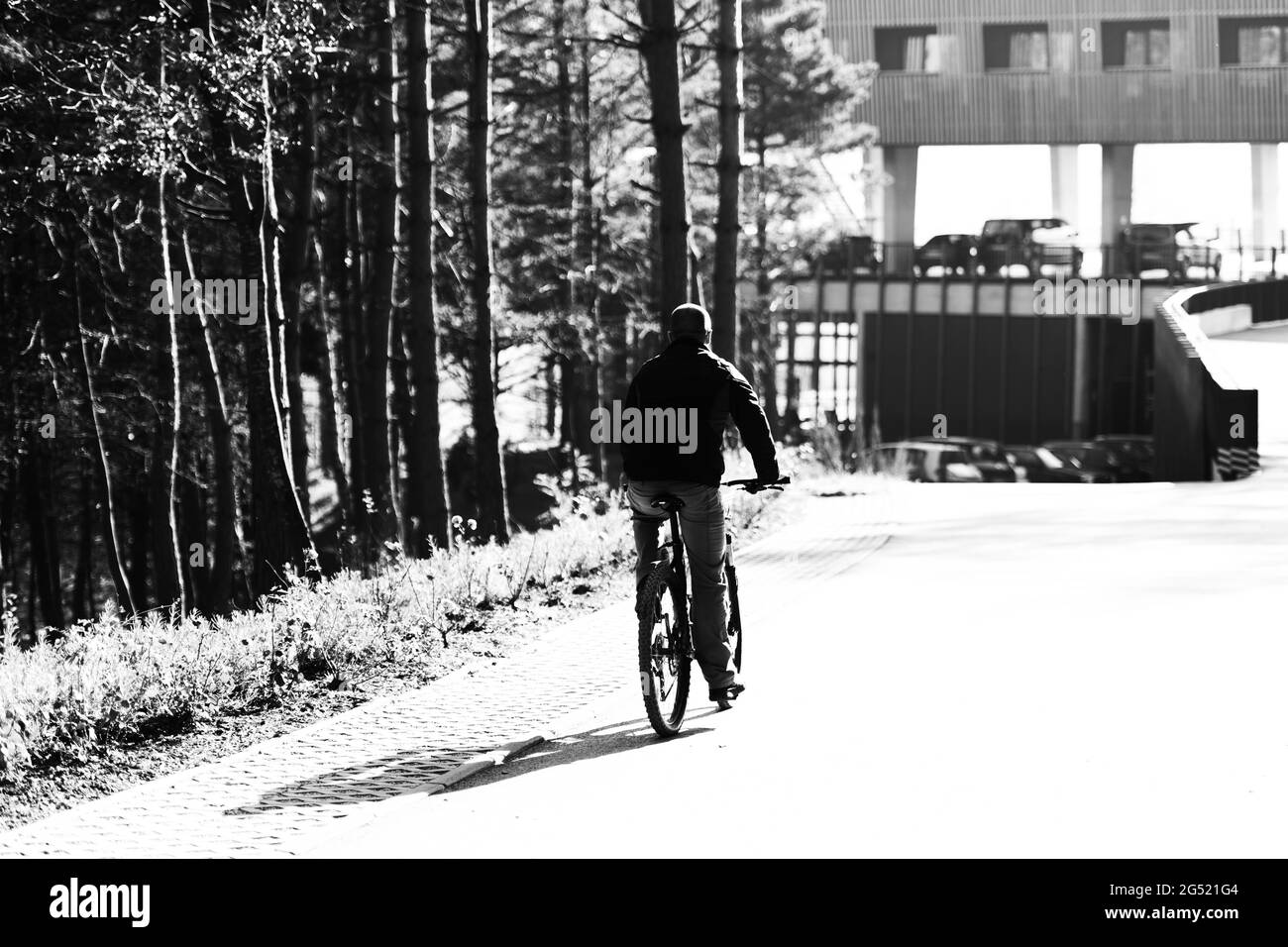 Vélo tout-terrain dans la forêt des montagnes d'été Banque D'Images