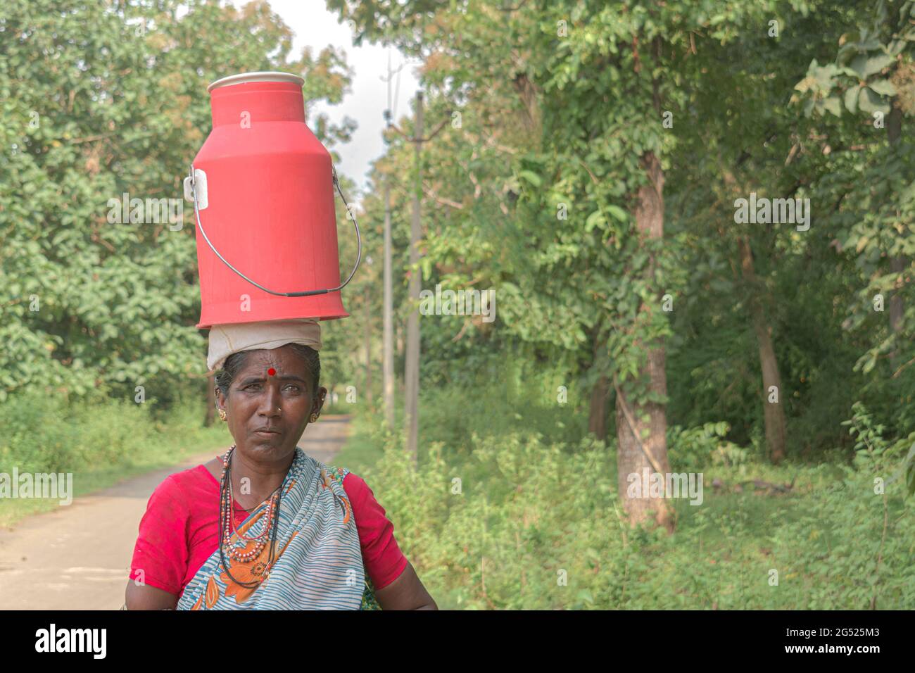Femme indienne tribale habilitée à porter des vêtements ethniques, transportant un récipient à lait sur la tête pour le livrer de porte à porte pour les clients. Femme d'âge moyen travaillant dur. Banque D'Images