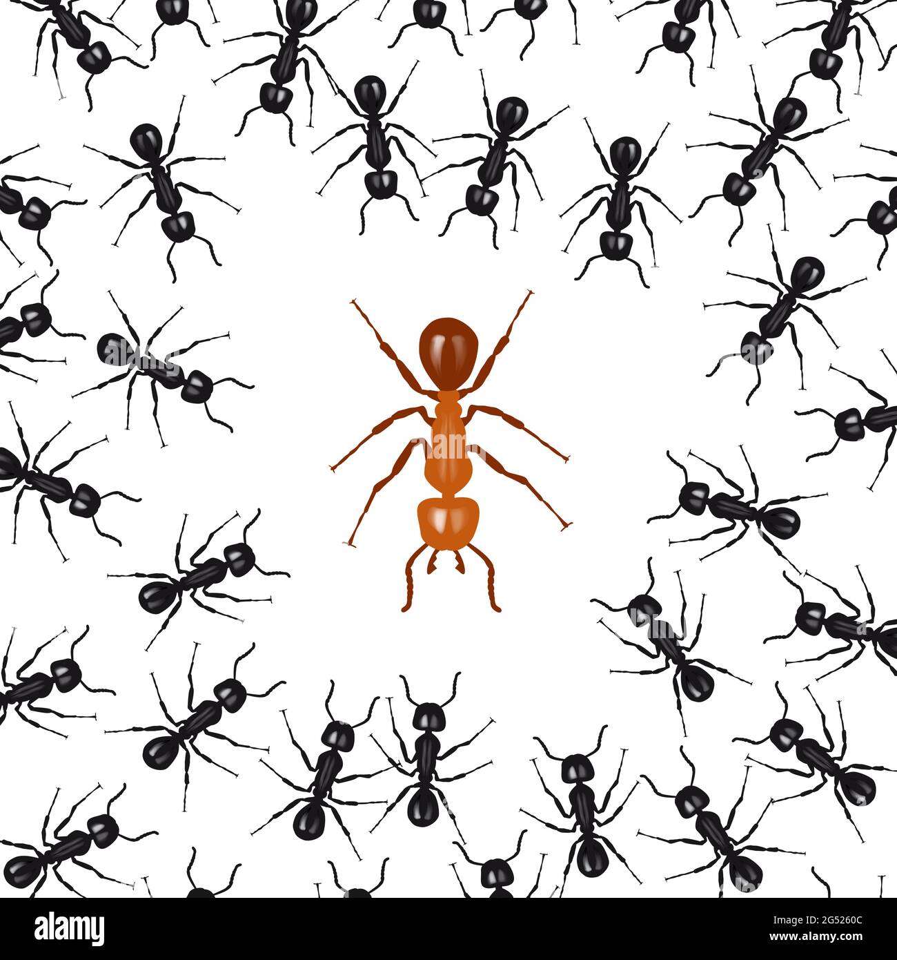Fourmis organisées en un groupe lutte contre une fourmi rouge. Concept de l'union fait la force Illustration de Vecteur