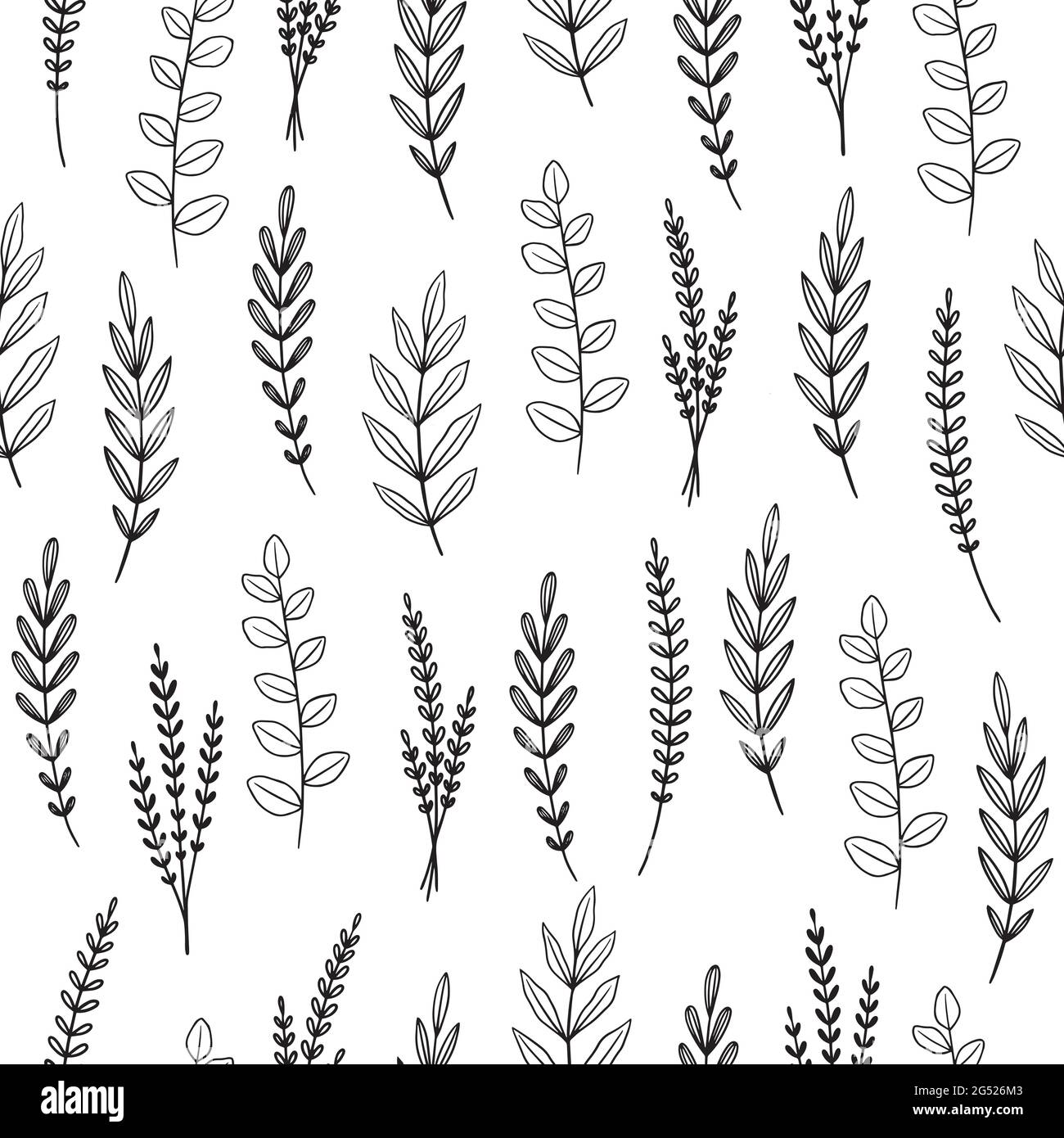 Fleur de jardin, plantes, botanique, sans couture motif vectoriel de conception pour la couverture, le tissu, la décoration intérieure. Motif mignon avec branche végétale. Illustration de Vecteur