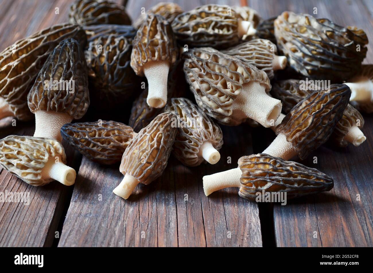 Pile de morilles comestibles de printemps fraîchement récoltées sur une table rustique en bois, mise au point sélective. Banque D'Images