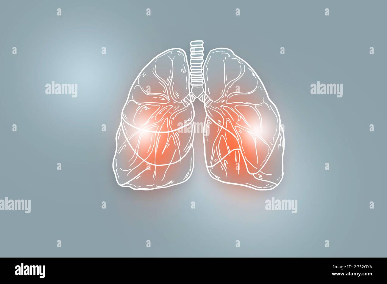 Illustration des poumons humains sur fond gris clair. Médical, science ensemble avec les principaux organes humains avec espace de copie vide pour le texte Banque D'Images