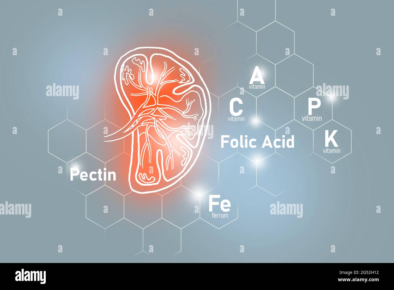 Éléments nutritifs essentiels pour la santé de la rate, y compris la pectine, l'acide folique, la vitamine P, le Ferrum.ensemble de conception des principaux organes humains sur fond gris clair. Banque D'Images