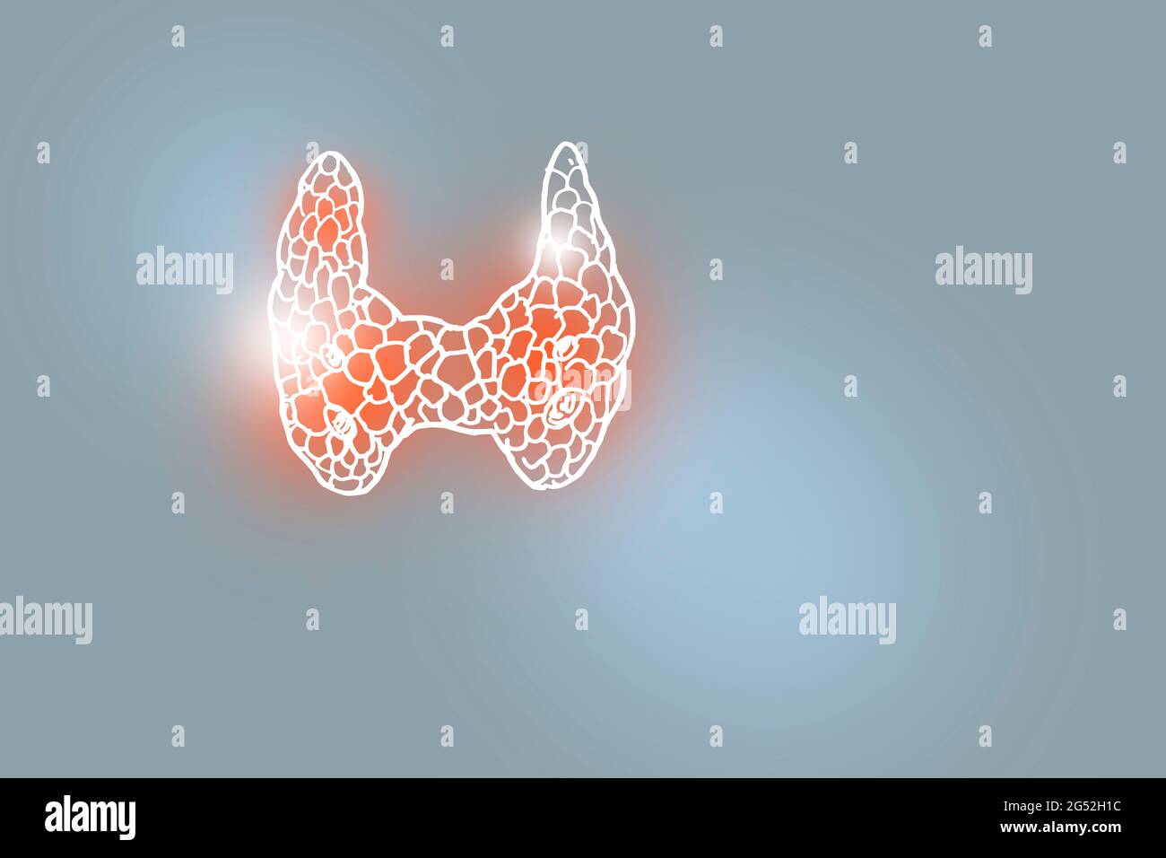 Illustration de la glande thyroïde humaine sur fond gris clair. Médical, science ensemble avec les principaux organes humains avec espace de copie vide pour le texte Banque D'Images