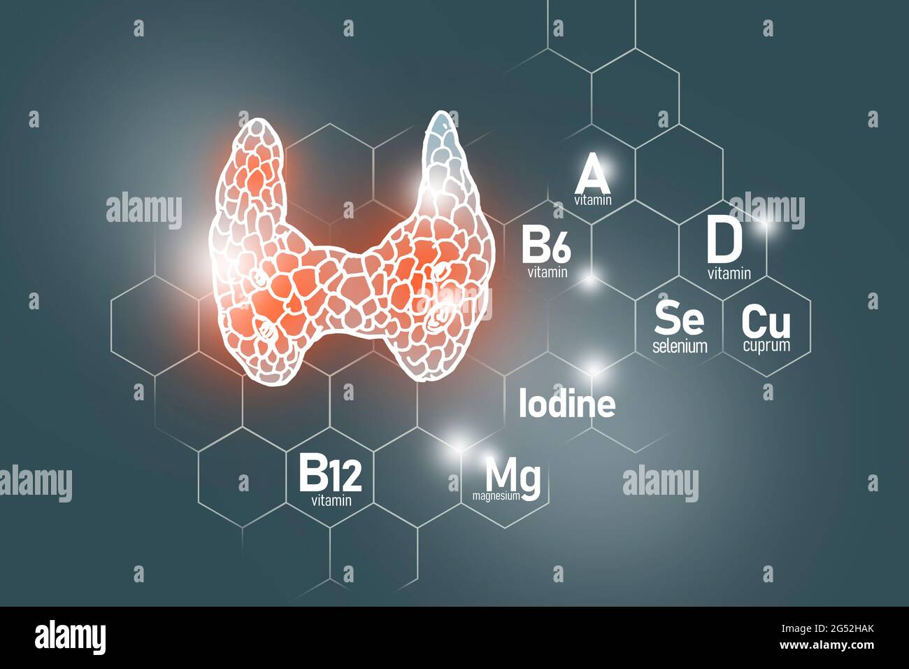 Nutriments essentiels pour la santé des terres de thyroïde, y compris l'iode, Selenuim, vitamine B6, Cuprum sur fond gris foncé Banque D'Images