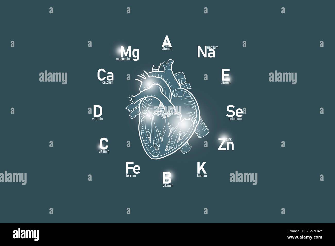 Cadran stylisé avec vitamines essentielles et microéléments pour la santé humaine, coeur dessiné à la main, fond gris foncé. Banque D'Images Cadran stylisé avec vitamines essentielles et microéléments pour la santé humaine, coeur dessiné à la main, fond gris foncé. Banque D'Images