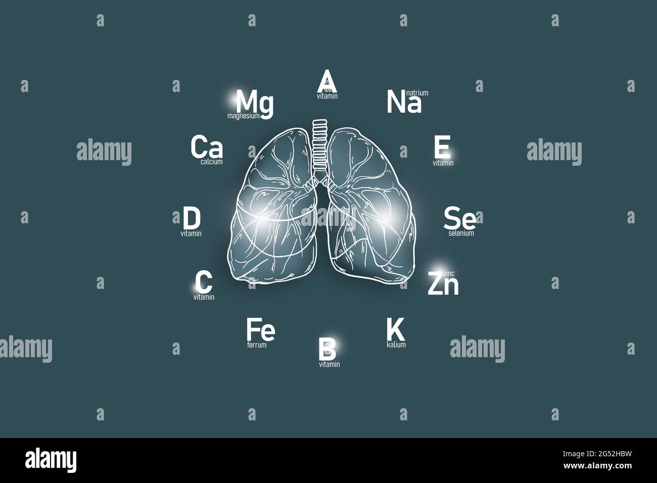 Cadran stylisé avec vitamines et microéléments essentiels pour la santé humaine, poumons dessinés à la main, fond gris foncé. Banque D'Images