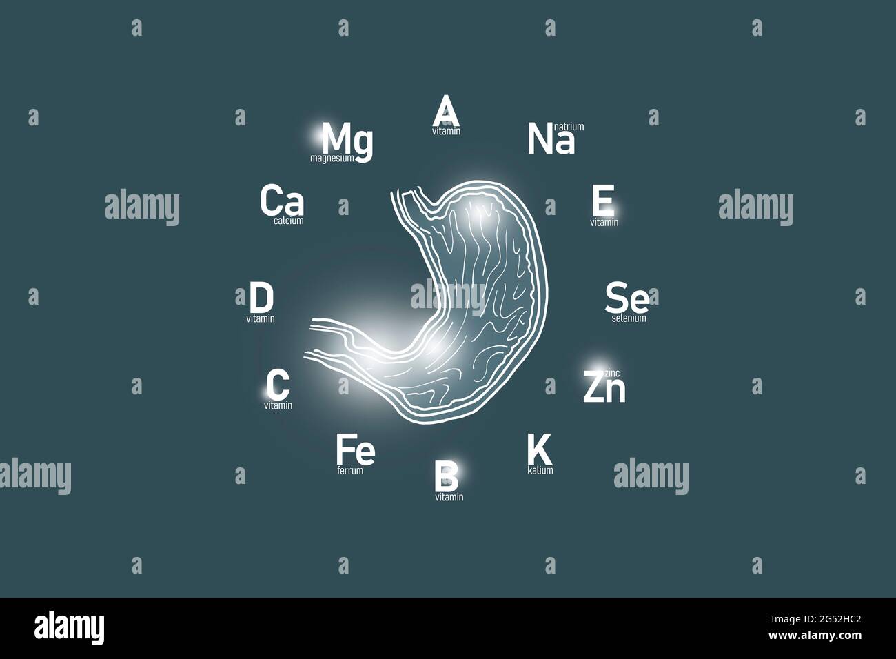 Cadran stylisé avec vitamines essentielles et microéléments pour la santé humaine, estomac dessiné à la main, fond gris foncé. Banque D'Images