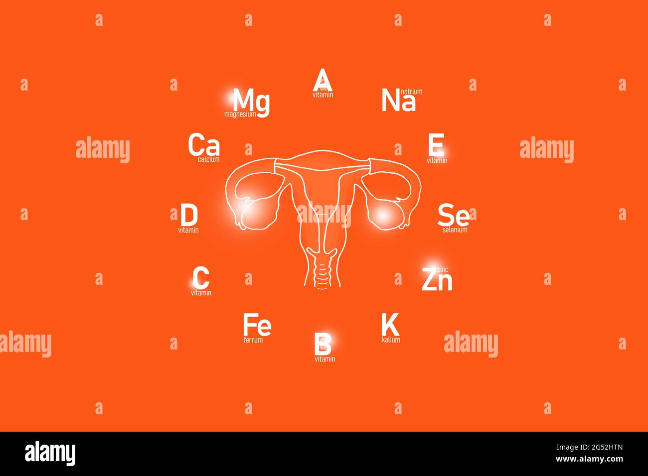 Cadran stylisé avec vitamines et microéléments essentiels pour la santé humaine, utérus dessiné à la main, fond rouge. Banque D'Images