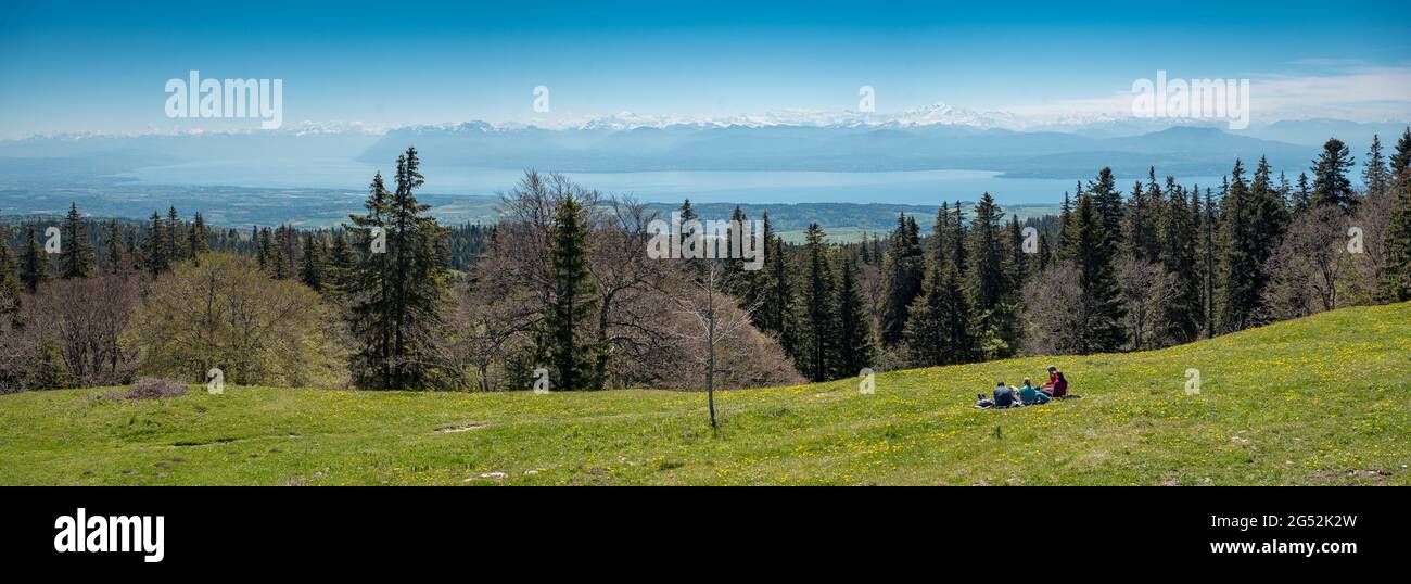 Vue panoramique du Jura Vaudoise sur le lac Léman jusqu'aux Alpes avec le Mont blanc Banque D'Images