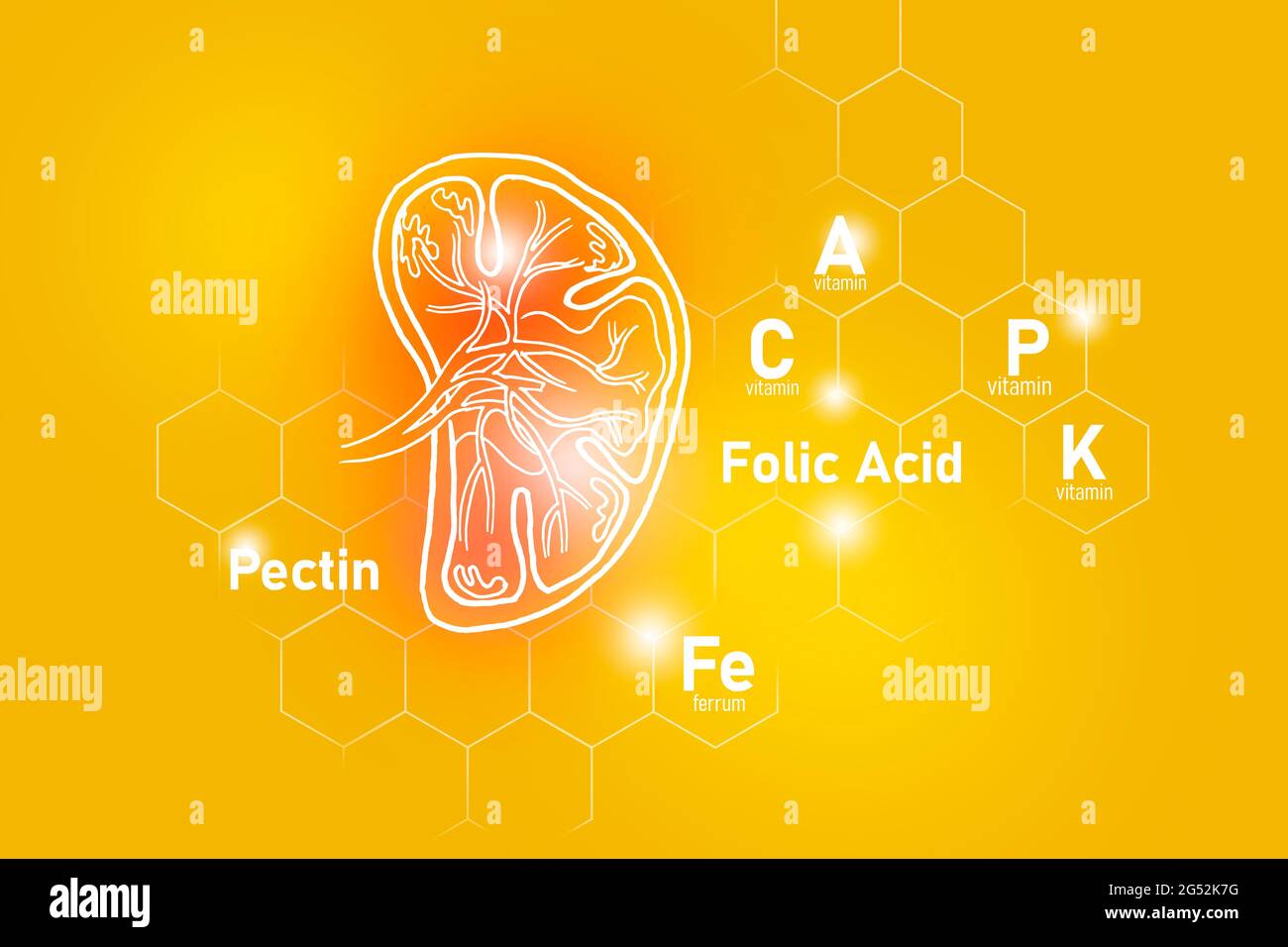 Nutriments essentiels pour la santé de la rate, y compris la pectine, l'acide folique, la vitamine P, le Ferrum.ensemble de conception des principaux organes humains sur fond jaune. Banque D'Images