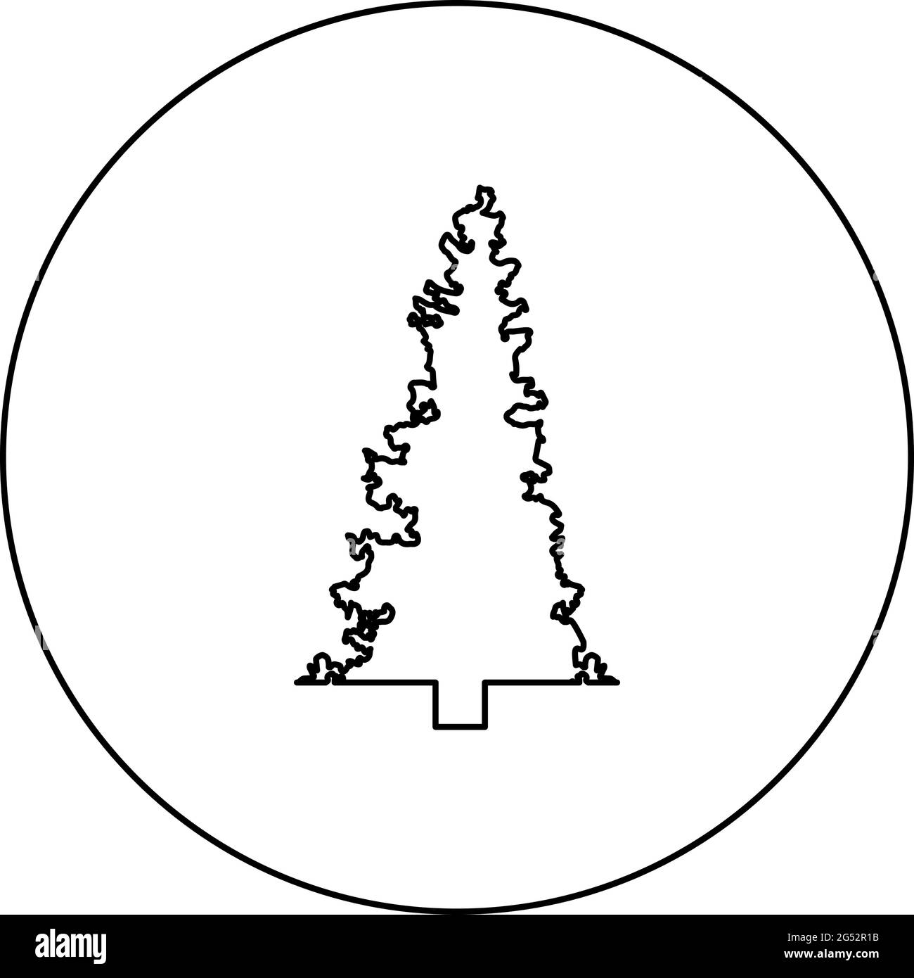 Sapin conifères de Noël épinette PIN forêt de feuillus Evergreen conifères silhouette en cercle rond noir couleur vecteur illustration contour Illustration de Vecteur