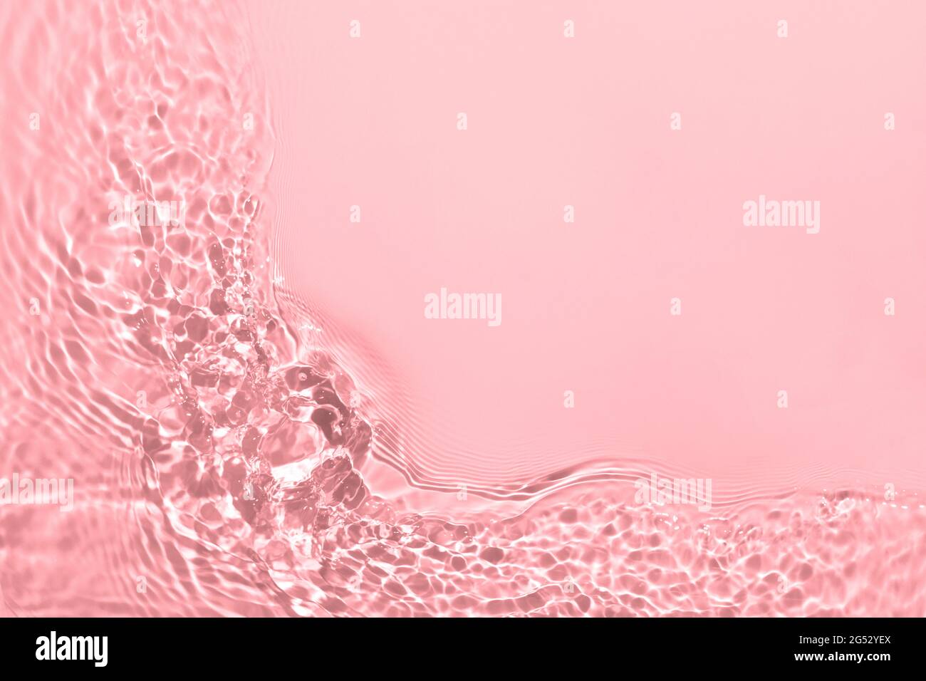 rose transparent eau transparente texture de surface été fond Banque D'Images