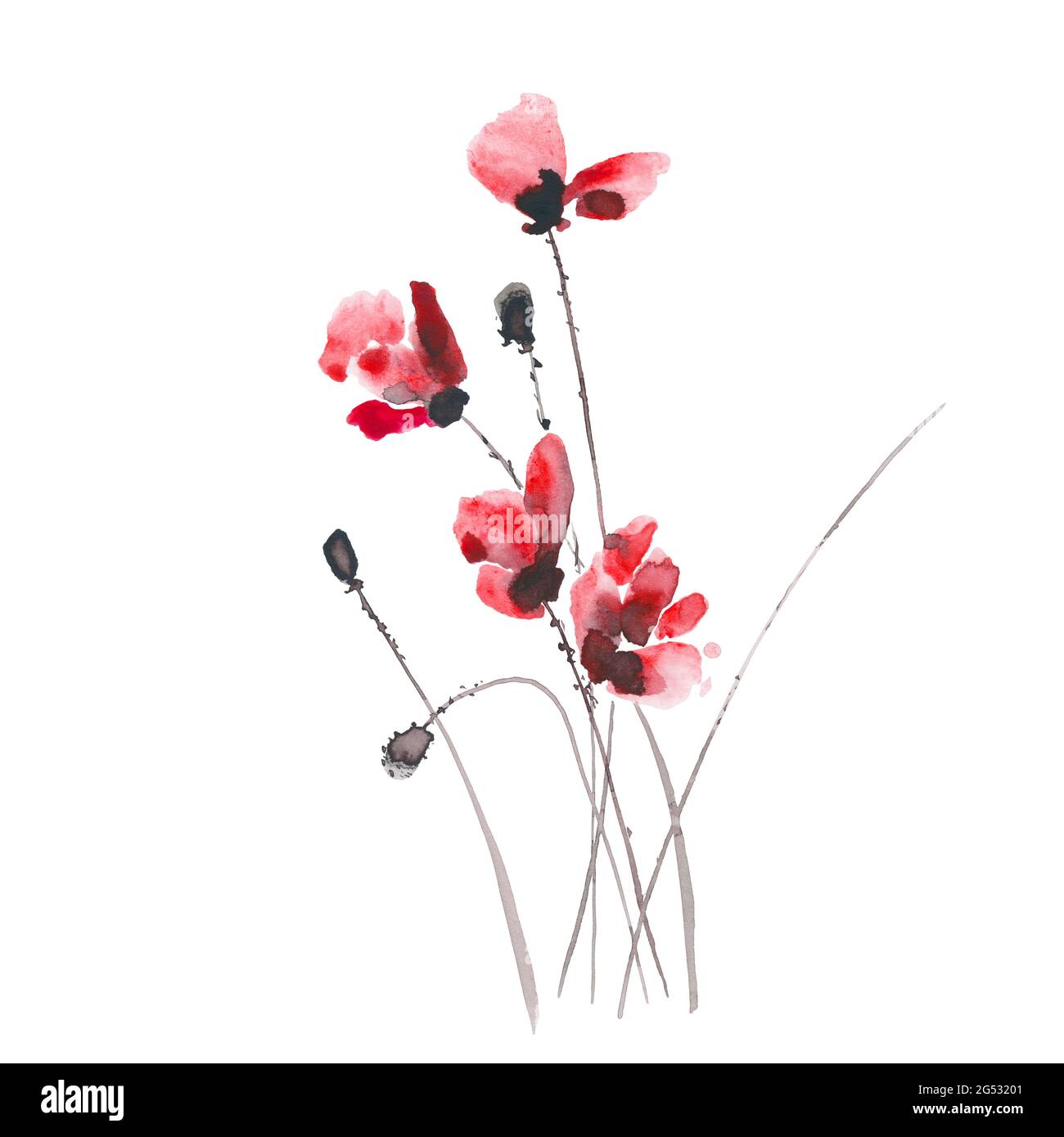 Illustration de l'encre et de l'aquarelle dessinées à la main : fleurs et bourgeons rouges sur fond blanc Banque D'Images