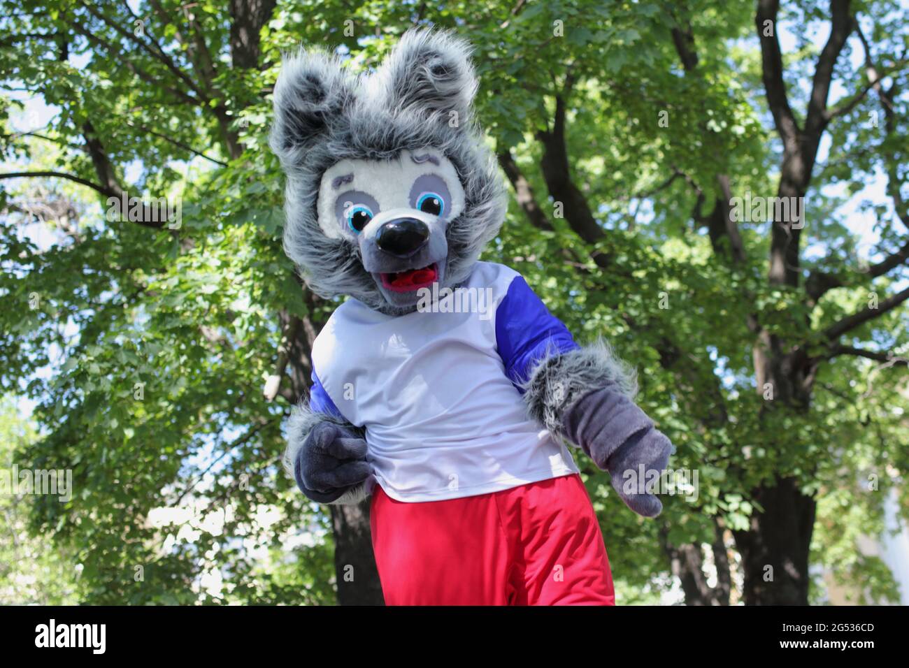 Animateur vêtu de Zabivaka, la mascotte de la coupe du monde de la FIFA 2018, à Saint-Pétersbourg, en Russie, promeut la coupe du monde de football 20 jours avant son début Banque D'Images