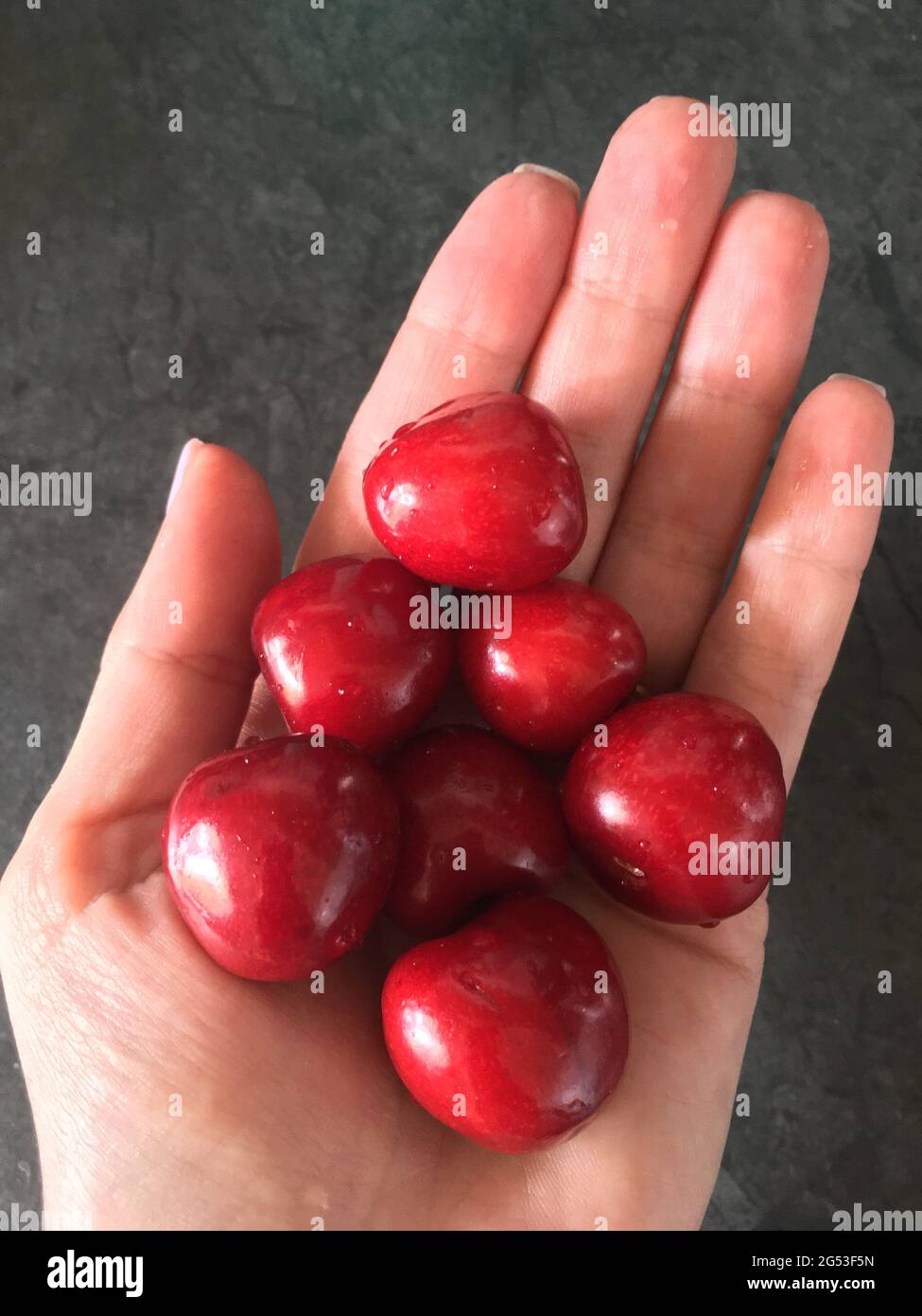 Cerises mûres rouges et bordeaux dans la paume de la main sur fond de table noir Banque D'Images