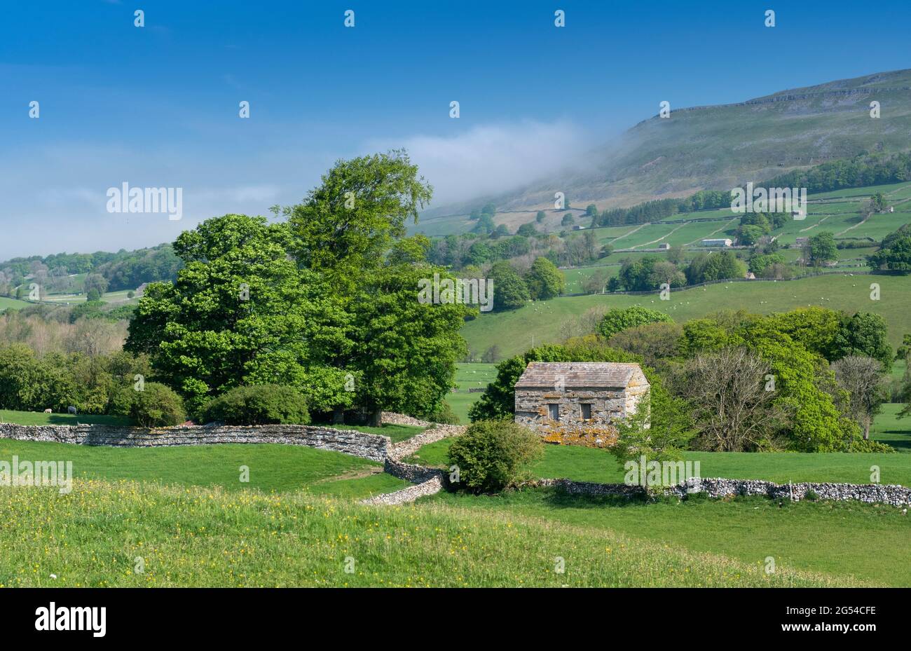 Grange en pierre dans la prairie à la fin du printemps, avec la brume qui s'élève au large de Staggs est tombée. Wensleydale, North Yorkshire, Royaume-Uni. Banque D'Images