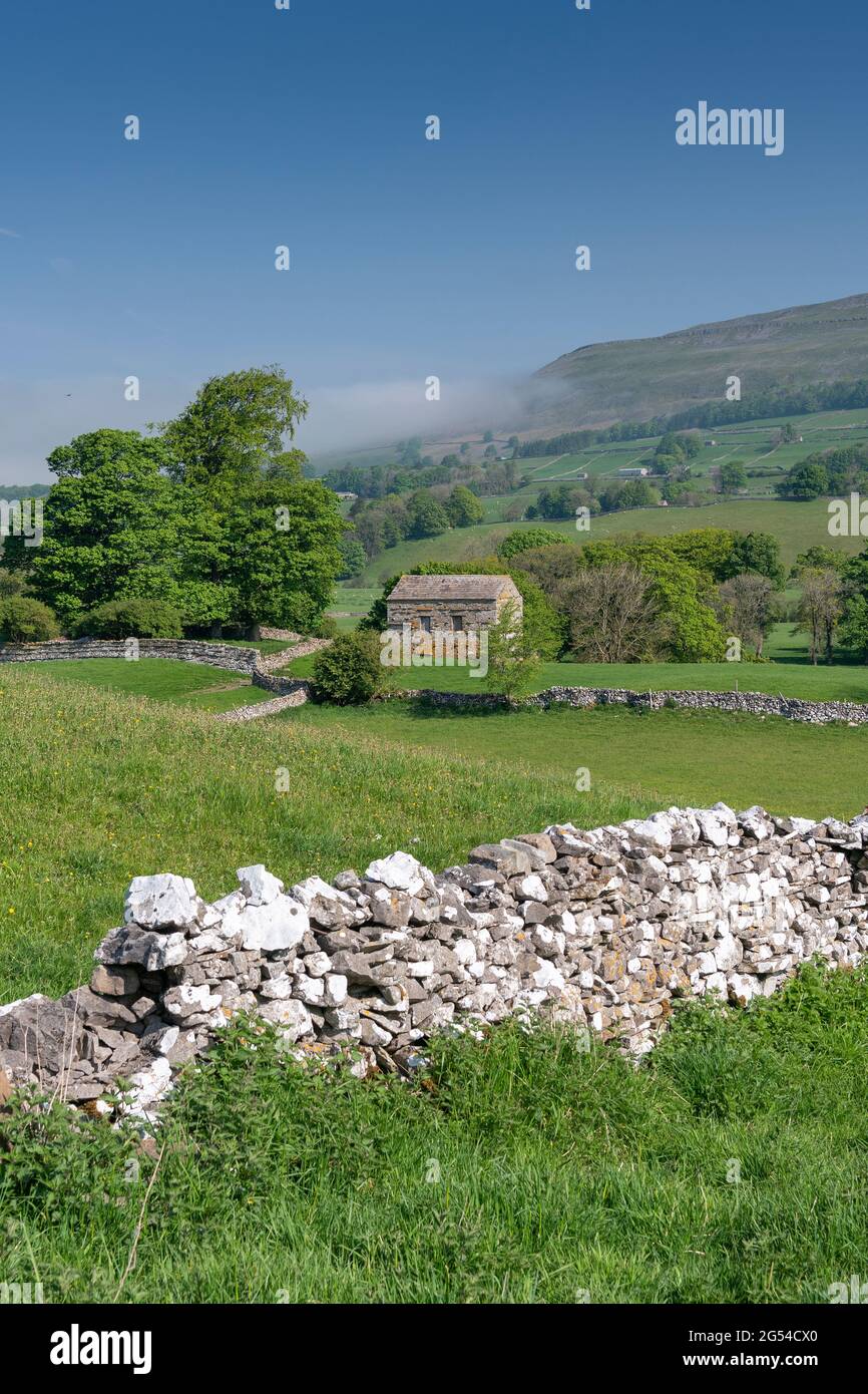 Grange en pierre dans la prairie à la fin du printemps, avec la brume qui s'élève au large de Staggs est tombée. Wensleydale, North Yorkshire, Royaume-Uni. Banque D'Images