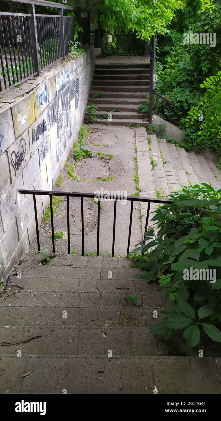 un vieux escalier en béton surcultivé avec de l'herbe Banque D'Images