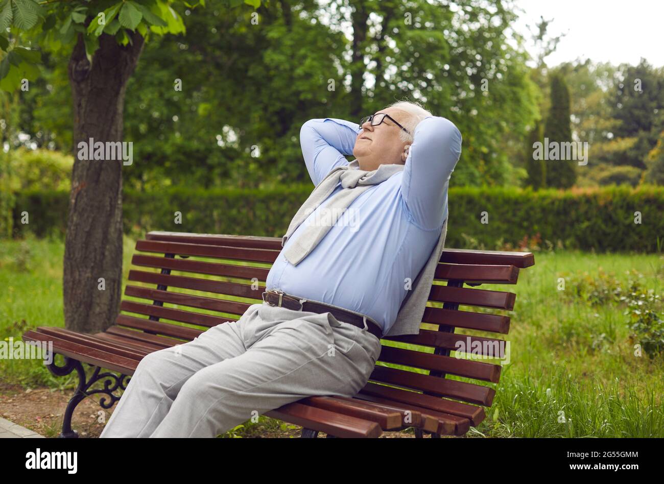 Portrait d'un homme senior heureux et détendu assis sur un banc dans un parc d'été vert Banque D'Images