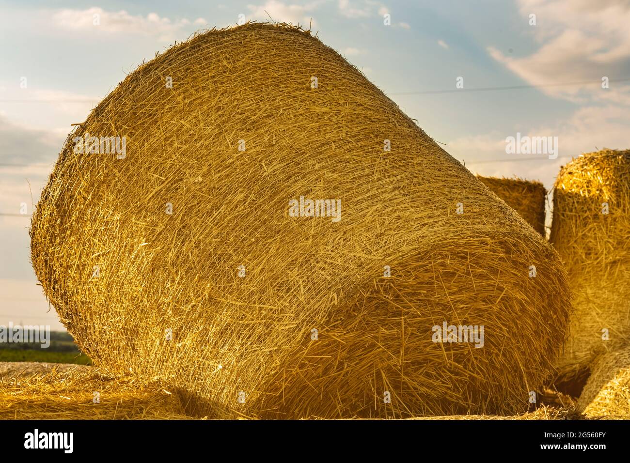 Une botte de foin ronde repose sur d'autres balles après la récolte de blé.  Rouleaux de paille dorée sur un champ de blé au coucher du soleil en  italien. Emballage et stockage
