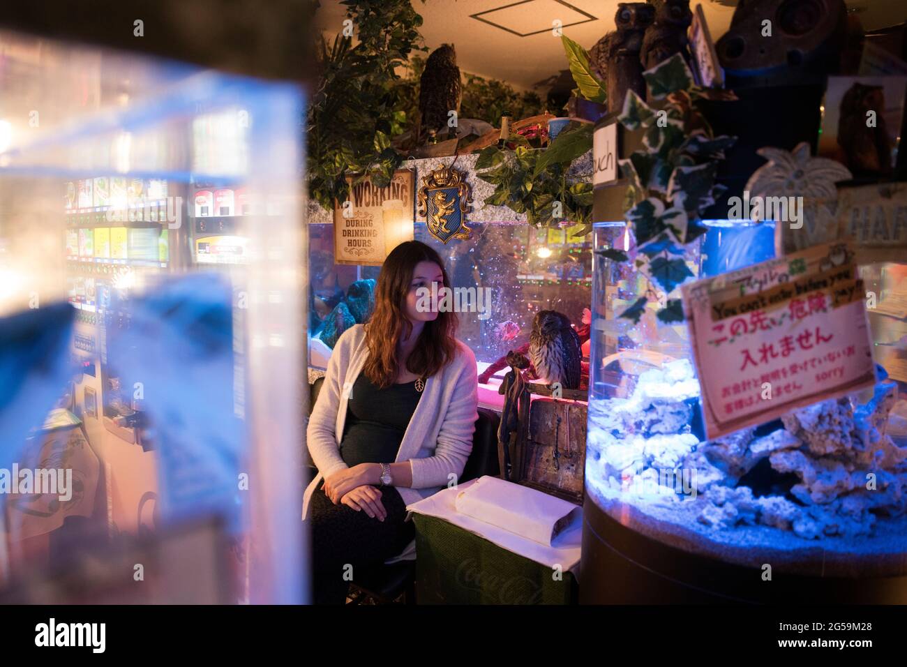 Un touriste posant avec un hibou dans un café hibou à Tokyo, au Japon Banque D'Images
