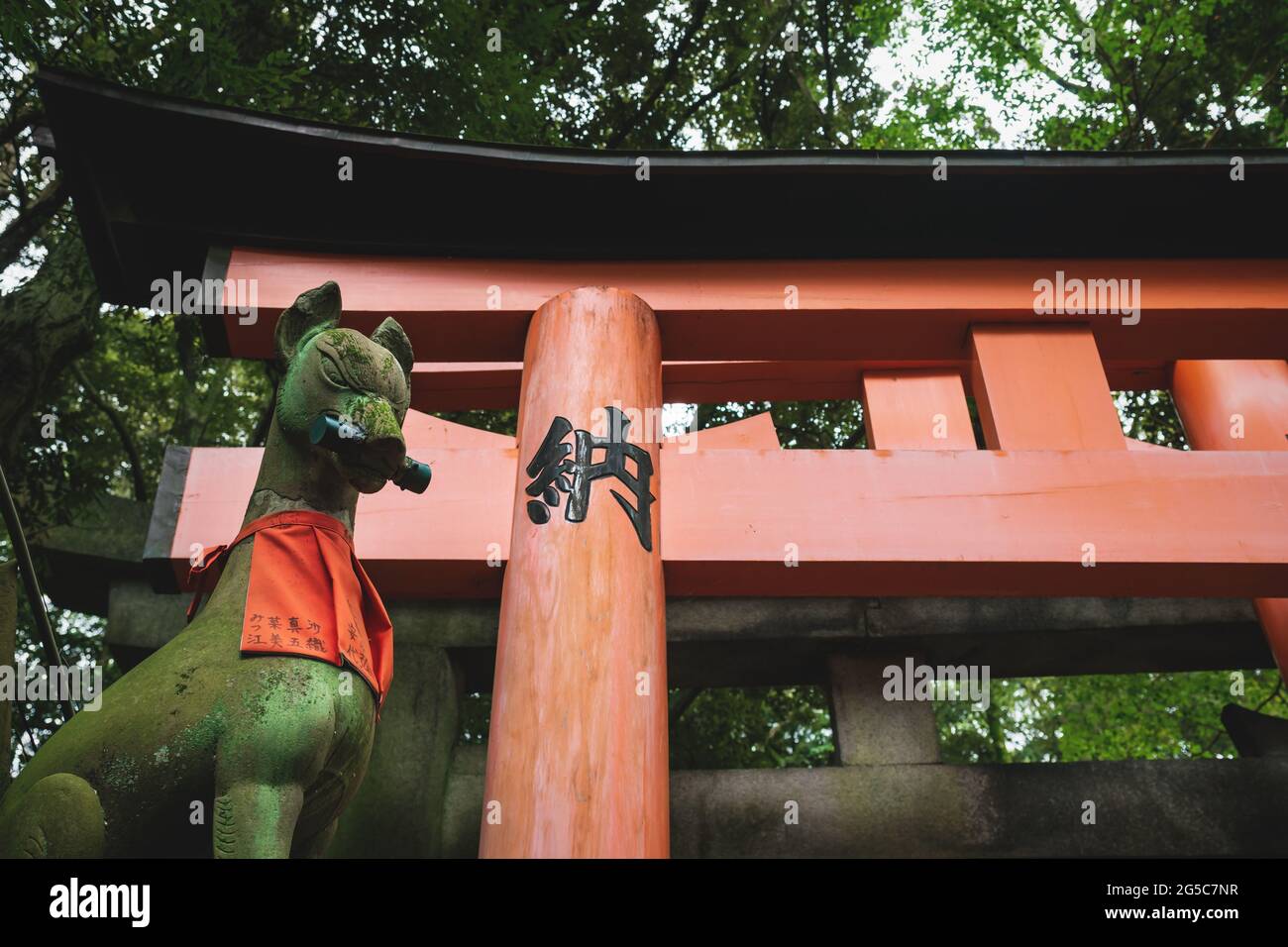 Statue de Fox kisune devant la porte orange de torii dans une forêt luxuriante au sanctuaire de Fushimi Inari Taisha à Kyoto, Japon Banque D'Images