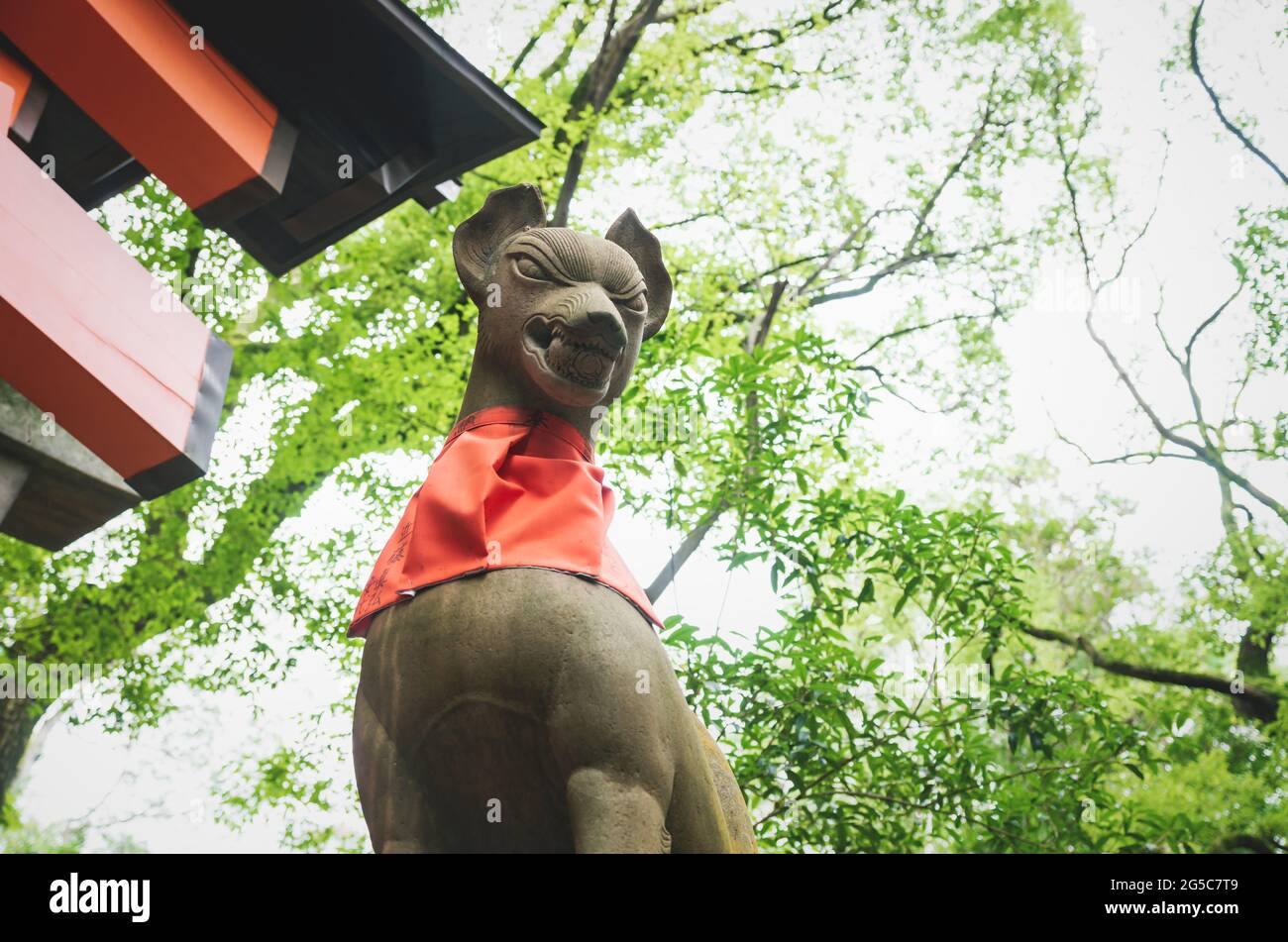 Statue de Fox kisune dans une laoterre luxuriante au sanctuaire de Fushimi Inari Taisha à Kyoto, Japon Banque D'Images