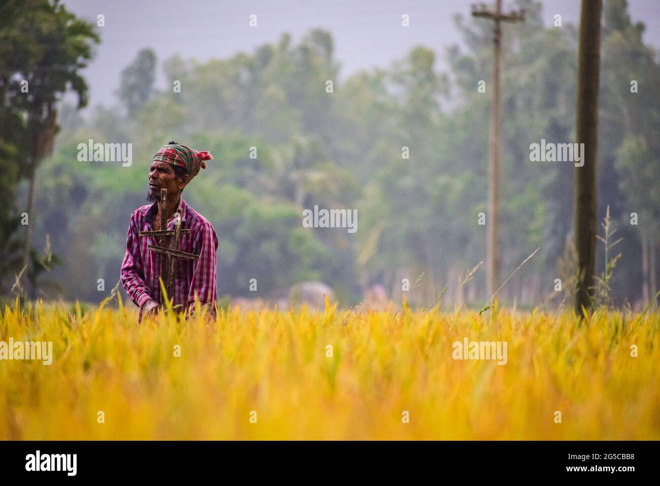 Un agriculteur travaillant dur sur le terrain pour gagner sa vie quotidienne avant que la tempête ne frappe durement. Banque D'Images