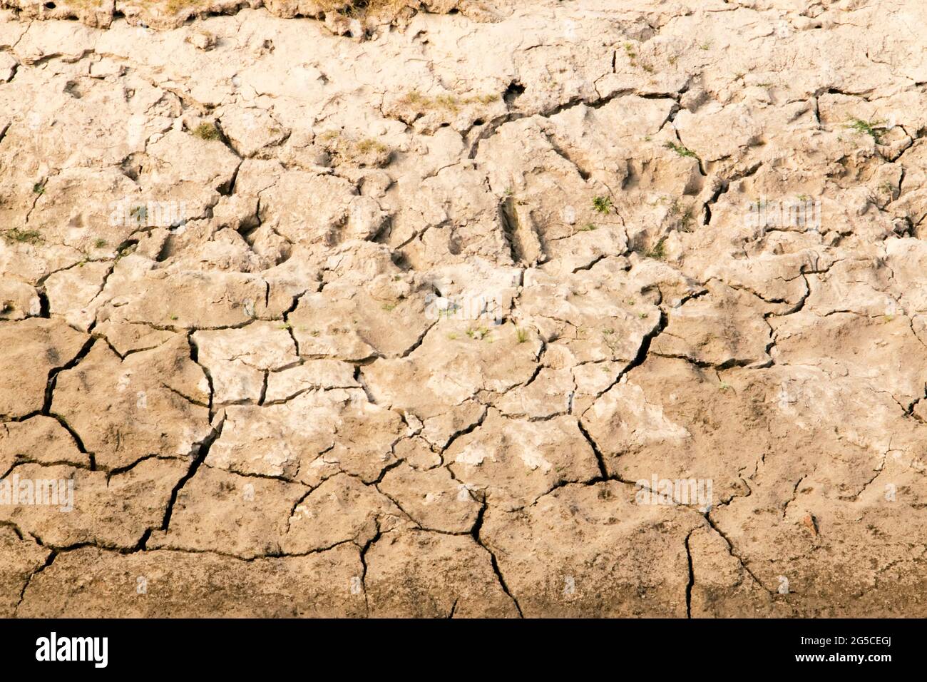 Le sol est une couche molle et granulaire de la surface de la terre Banque D'Images
