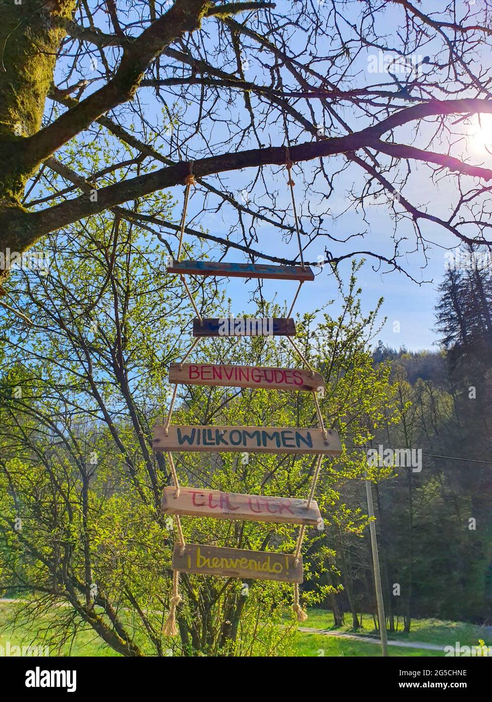 Bienvenue Connectez-vous dans différentes langues Banque D'Images