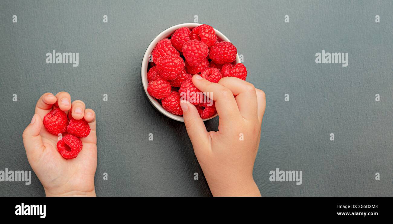 La main de l'enfant prend des framboises juteuses fraîches d'une petite assiette noire. Gros plan rouge vif. Heure d'été de cueillette des baies. Fruits biologiques sains Banque D'Images