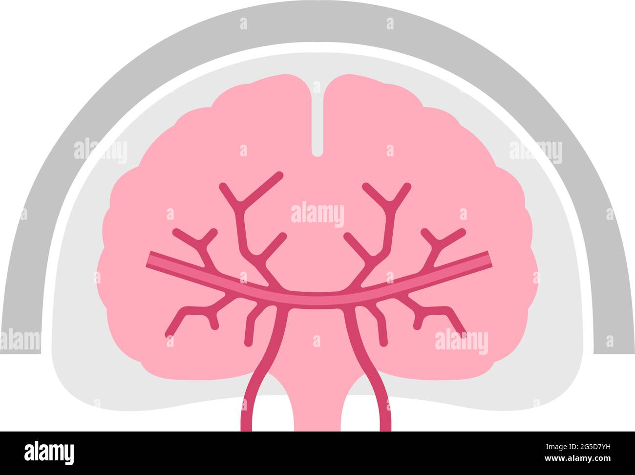 Illustration simplifiée du vecteur du cerveau humain Illustration de Vecteur