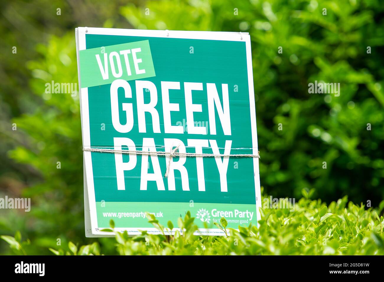 Amersham, Buckinghamshire, Royaume-Uni. 25 juin 2021. À la suite de l'élection partielle dans Amersham et Chesham, les affiches de vote du Parti Vert restent dans Amersham pour la candidate Carolyne Culver. Les conservateurs ont perdu leur siège aux libéraux-démocrates, mais le Parti Vert a battu le Parti travailliste à l'élection partielle. Carolyne Culver, conseillère du Parti Vert, est anti-HS2. La construction du train à grande vitesse 2 a un impact préjudiciable énorme sur les Chilterns et de nombreux résidents locaux ont refusé de voter Tory en raison de HS2. Crédit : Maureen McLean/Alay Banque D'Images