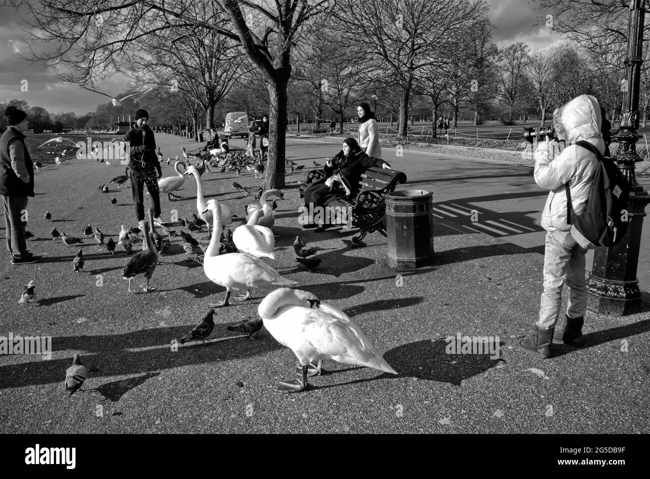 Famille regardant les cygnes et les pigeons à Hyde Park, Londres, Royaume-Uni. Banque D'Images