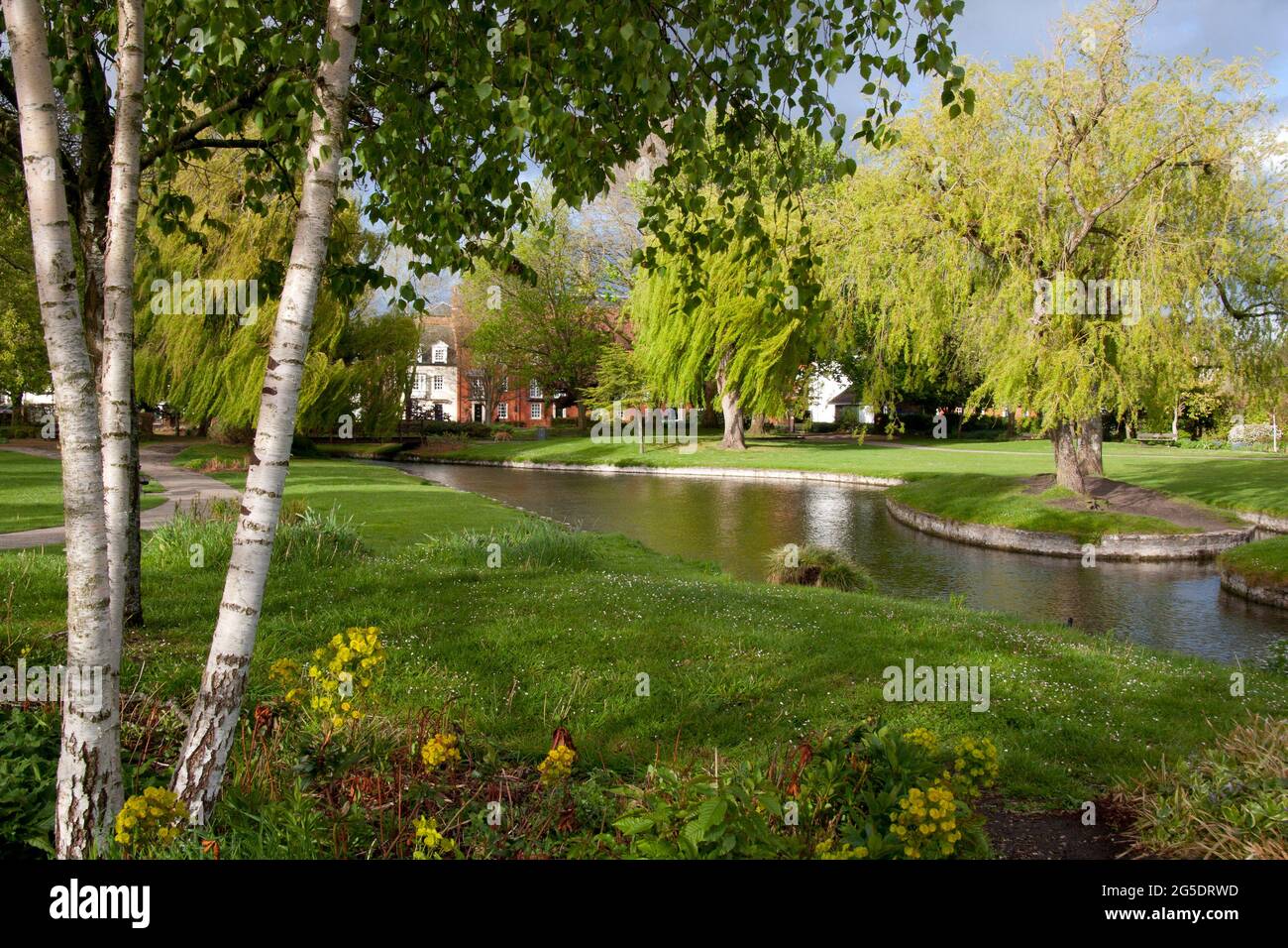 Parc Queen Elizabeth, Salisbury, Wiltshire, Angleterre Banque D'Images